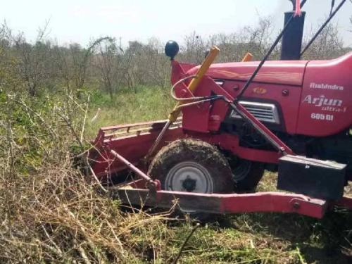 Pomegranate orchards desolated due to drought, lack of water, farmers are swinging axes on pomegranate trees | झळा, पाणीटंचाईने डाळिंबाच्या बागा उजाड, शेतकरी फिरवताहेत डाळिंबाच्या झाडावर कुऱ्हाड