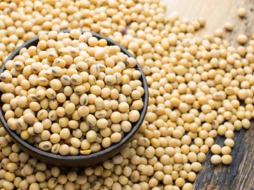 The highest arrival of soybeans in this market committee in the state today, know.. | राज्यात या बाजारसमितीत आज सोयाबीनची सर्वाधिक आवक, जाणून घ्या..