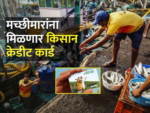 Kisan Credit Card to be given to fishermen under Matsya Yojana | मत्स्य योजनेतून मच्छीमारांना देणार किसान क्रेडिट कार्ड