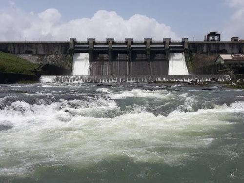 What is the state of water in the state's dams today? | राज्यातील धरणांमधील पाण्याची आजची स्थिती काय?