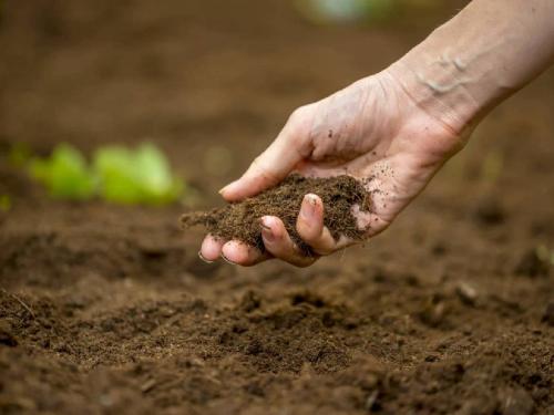 Have you checked your land map? Read in detail | तुम्ही तुमच्या 'जमिनीची पत्रिका' तपासलीये?