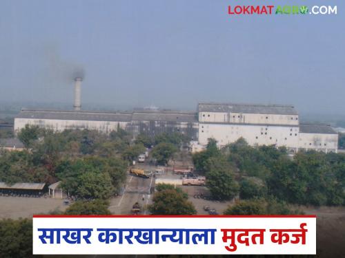 State Cabinet approves term loan of Rs 39.88 crore for 'this' sugar factory in Nagar district | नगर जिल्ह्यातील 'या' साखर कारखान्यास ३९ कोटी ८८ लाखांच्या मुदत कर्जास राज्य मंत्रिमंडळाच्या मंजुरी