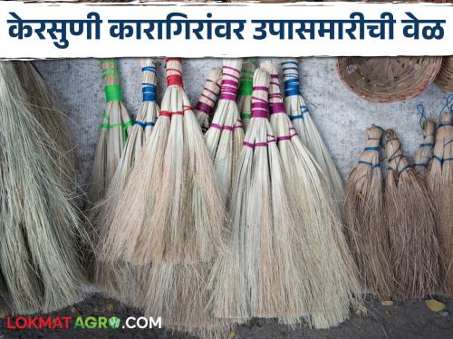 With the use of modern household brooms, kerasuni was out of the box; Starvation time on artisans | घराघरांतील आधुनिक झाडूंच्या वापराने केरसुणीच झाली साफ; कारागिरांवर उपासमारीची वेळ