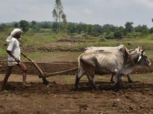 Acceleration of agricultural cultivation works; Matching of seeds, fertilizers | शेती मशागतीच्या कामांना वेग; बी-बियाणे, खतांची जुळवाजुळव