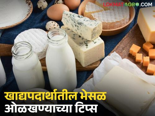Which food items are most likely to be adulterated during the festive season? and how to identify them? | सणासुदीच्या दिवसांत कोणत्या खाद्यपदार्थात अधिक भेसळ होऊ शकते? आणि ती कशी ओळखायची?