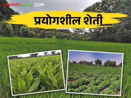 Farmer Success Story: Importance of mechanical tools & techniques emerged and farming operation became easier | Farmer Success Story: यांत्रिक अवजाराचे महत्त्व उमगले अन् शेतीचे तंत्र सुलभ झाले