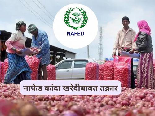 Latest News Nafed Kanda Kharedi Complaint to the Chief Minister regarding purchase of Nafed onions | Nafed Kanda Kharedi : नाफेड कांदा खरेदीबाबत मुख्यमंत्र्यांकडे तक्रार, काय आहे प्रकरण?