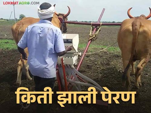 Kharif Sowing: Average rainfall in 165 taluks of the state; How many sowing done? | Kharif Sowing राज्यात १६५ तालुक्यांत झाला सरासरीएवढा पाऊस; पेरण्या किती झाल्या