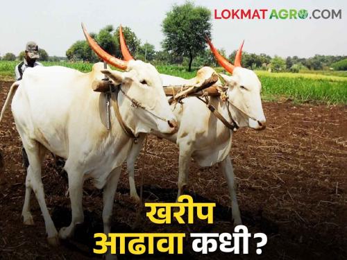 Kharif Season; State Kharif review meeting stalled by Code of Conduct & transfer of Agriculture commissioners | Kharif Season आचारसंहिता, कृषी आयुक्तांच्या बदलीने रखडली खरिपाची आढावा बैठक