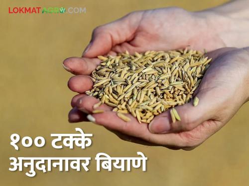 Seeds of these crops for Kharif sowing will be available at 100 percent subsidy? How will you avail the benefits? | खरीपाच्या पेरणीसाठी या पिकांचे बियाणे मिळणार १०० टक्के अनुदानावर? कसा घ्याल लाभ?
