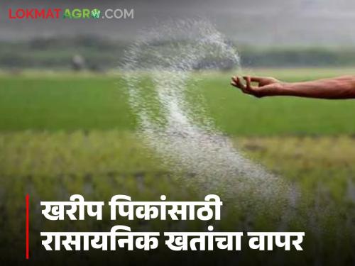 Latest News Know in detail how much fertilizer should be given to which crop in Kharif season  | Kharif Season : खरीप हंगामात कुठल्या पिकाला किती खत द्यावं, जाणून घ्या सविस्तर 