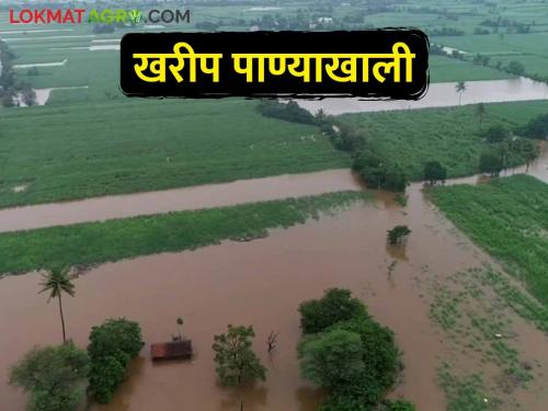 Crops on one and a half lakh hectares of the state are in water due to heavy rains | अतिवृष्टीमुळे राज्यातील दीड लाख हेक्टरवरील पिके पाण्यात