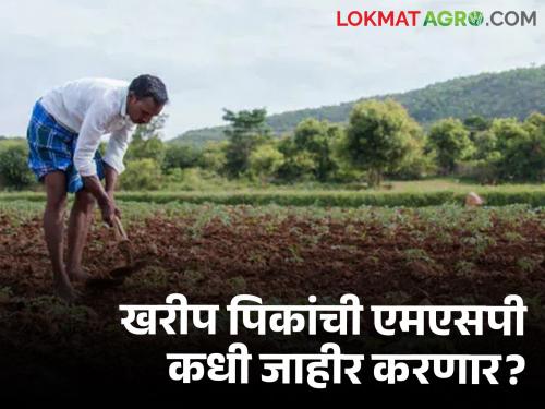 Latest News MSP of Kharif crops has not been announced yet by central government | Kharif Season : पेरणीचं नियोजन कोलमडलं, अजून खरीप पिकांची एमएसपी जाहीर झाली नाही! 
