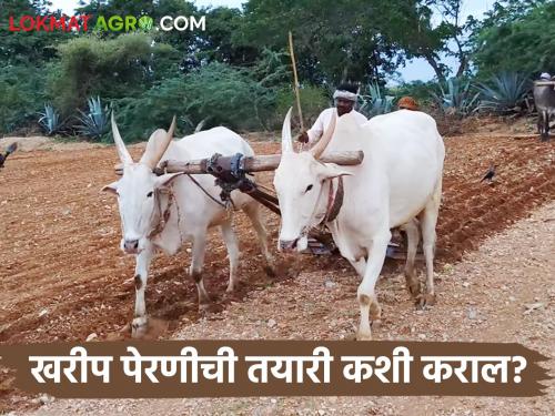 Kharif Sowing How farmers prepare seeds for Kharif sowing | Kharif Sowing शेतकऱ्यांनो खरीप पेरणीसाठी बियाण्याची कशी कराल तयारी