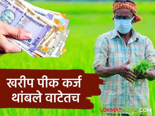 Crop Loan: farmer not get crop loan yet in this kharif session | Crop Loan : हंगाम संपला तरी सावकाराचे उंबरठे शेतकरी झिजवतोय; प्रशासनाच्या निर्देशाला व्यापारी बँकांचा कोलदांडा