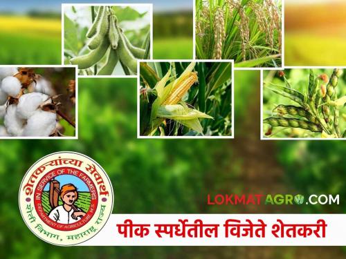 Pik Spardha : State-level results of Kharif season 2024 crop competition announced; Who is the winning farmer? | Pik Spardha : खरीप हंगाम २०२४ पीक स्पर्धेचा राज्यस्तरीय निकाल जाहीर; विजेते शेतकरी कोण?