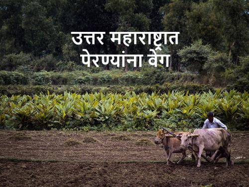 Monsoon Kharif season sowing took speed in Nashik, Jalgaon | Monsoon: नाशिक जळगावमध्ये पाऊस, गिरणा खळाळली, पेरण्यांनाही आला वेग