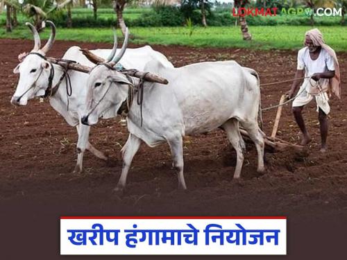 latest news Kharif Season: Kharif 2025: Intensive preparations for soybean sowing in Latur district! Read in detail | Kharif Season: खरीप 2025: लातूर जिल्ह्यात सोयाबीन पेरणीची जोरदार तयारी! वाचा सविस्तर