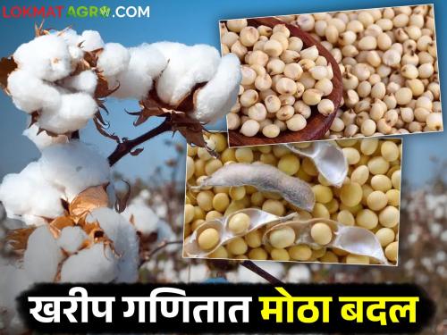 latest news Kharif Crops: New equation of Kharif crops: 'These' crops preferred instead of cotton! Read in detail | Kharif Crops: खरीप पिकांचे नवे समीकरण: कापसाऐवजी 'या' पिकांना पसंती! वाचा सविस्तर