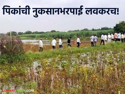 latest news Kharif Shivar Feri Akola: Relief for farmers in natural calamities; Compensation soon: Agriculture Minister Bharane | Kharif Shivar Feri Akola : नैसर्गिक संकटात शेतकऱ्यांना दिलासा; नुकसानभरपाई लवकर : कृषिमंत्री भरणे