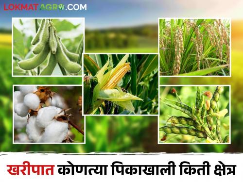 Kharif Season 2024 preliminary estimate of Kharif sowing area announced by Agriculture Department; How much area under which crop? | Kharif Season 2024 खरिप पेरणी क्षेत्राचा प्राथमिक अंदाज कृषी विभागाने केला जाहीर; कोणत्या पिकाखाली किती क्षेत्र?