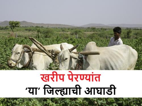 Kharif Sowing: How many sowings have been done in Maharashtra at end of June, What is the status of cotton and soybeans? | Kharif Sowing: राज्यात आतापर्यंत किती पेरण्या झाल्या? कापूस आणि सोयाबीनची काय आहे स्थिती