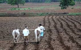 Due to prolonged monsoon, only one and a half percent of Kharif is sown in Maharashtra | मॉन्सून लांबल्याने राज्यात खरिपाच्या केवळ दीड टक्काच पेरण्या 