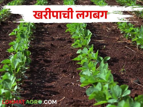 Preparation for Kharif from 25th May Rohini Nakshatra will rain? | तयारी खरीपाची; २५ मे पासून रोहिणी नक्षत्र पाऊस येईल?