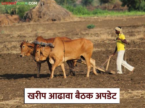 These five important decisions were taken at the state-level Kharif review meeting; Know the details | राज्यस्तरीय खरीप आढावा बैठकीत घेतले हे पाच महत्वपूर्ण निर्णय; जाणून घ्या सविस्तर
