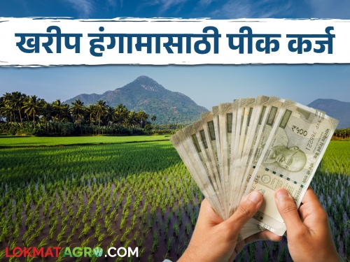 Latest News Distribution of crop loan for Kharif season started from Bhandara District Bank | Kharif Season : खरिपासाठी जिल्हा बँकेकडून पीक कर्ज, वाचा पीकनिहाय कर्ज तपशील 