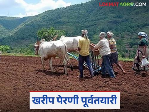 Latest News Kharif Sowing Sow kharif crops only after there is sufficient moisture in the soil | Kharif Sowing : खरीप पिकांची पेरणी करण्याआधी 'हे' तपासून पहा, वाचा सविस्तर
