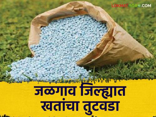 latest news Agriculture News Shortage of chemical fertilizers including mixed fertilizers in Jalgaon district | Agriculture News : जळगाव जिल्ह्यामध्ये मिश्र खतांसह रासायनिक खतांचा तुटवडा, वाचा सविस्तर