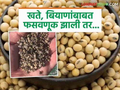 Where to seek redress if you are cheated in purchasing fertilizers and seeds? Find out in detail | खते, बियाणे खरेदीत फसवणूक झाली तर कुठे दाद मागायची? जाणून घ्या सविस्तर