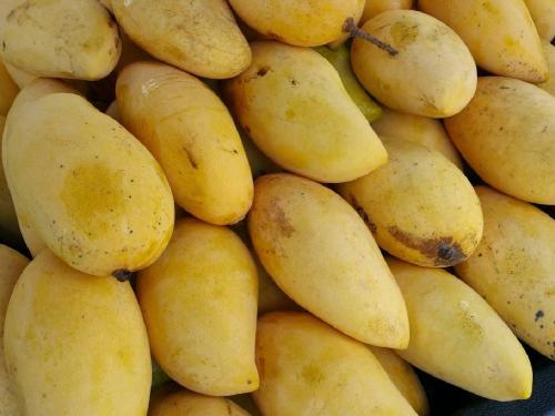 Look for local mangoes, the sale of foreign mangoes is booming! | स्थानिक आंब्यासाठी पहावी लागणार वाट, परराज्यातील आंब्याची विक्री जोमात!