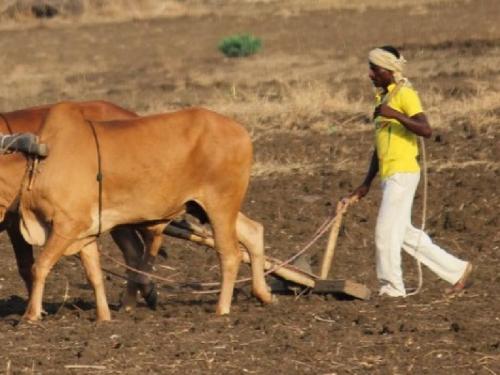 Drought like situation In these taluks of Marathwada, it has rained for only 40 days | मराठवाड्यातील या तालुक्यांत दुष्काळाचे सावट, ४० दिवसच पडला पाऊस