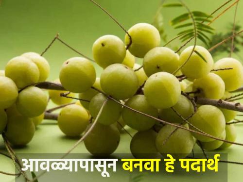 Financial earnings can be made from this processing industry including amla marmaladeFinancial earnings can be made from these five process industries including amla marmalade | आवळ्याच्या मुरांब्यासह या प्रक्रीया उद्योगातून करता येईल आर्थिक कमाई