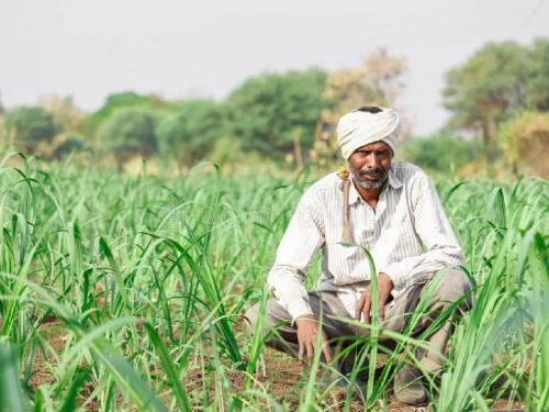 Water increased the horticultural area; Crops of safflower, sunflower, groundnut are exported | पाण्यामुळे बागायती क्षेत्र वाढले; करडई, सूर्यफूल, भुईमुगाची पिके हद्दपार