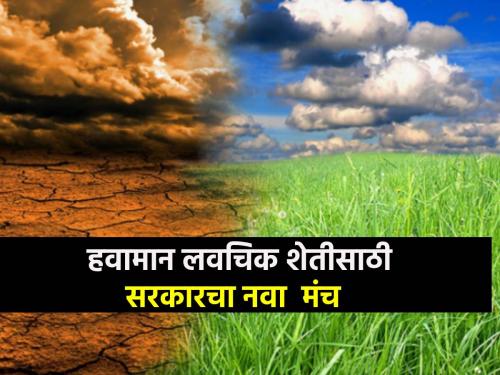 The government will invest to protect the food chain from climate change through agriculture | हवामान बदलात शेती करताय? आता सुरक्षित अन्नसाखळीसाठी सरकारने तयार केलाय नवा मंच