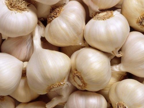 What caused the shortage of garlic in the state this year? | यंदा राज्यात लसणाचं शॉर्टेज कशामुळे झालं?