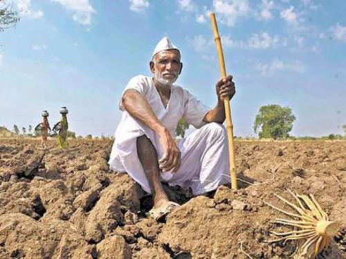 Subsidies will be given in three drought-affected talukas; Lists of damage victims sought by Agriculture Department | दुष्काळग्रस्त तीन तालुक्यात मिळणार अनुदान; कृषी विभागाकडून नुकसानग्रस्तांच्या मागविल्या याद्या