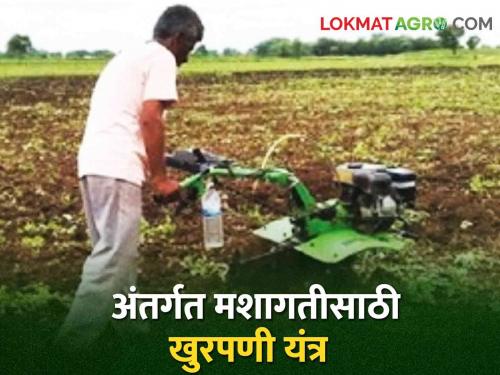 Latest News Weeding machine for internal cultivation, useful for sugarcane, cotton crop see details | Weeding Machine : उभं राहून करा शेतातील खुरपणी, स्वस्तात मस्त असलेलं खुरपणी यंत्र, वाचा सविस्तर