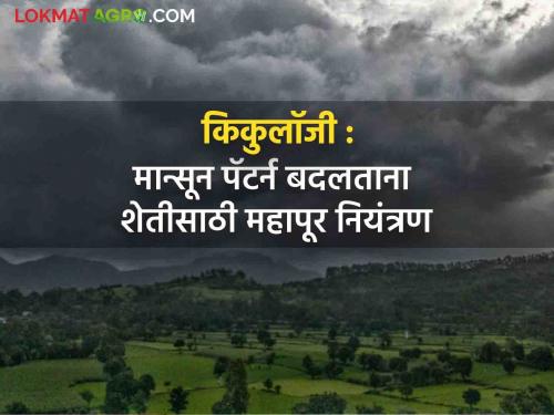 Latest News Kikulogy by Kirankumar Johare Flood Control for Agriculture in Changing Monsoon Patterns​​​​​​ | Kikulogy : किकुलॉजी : ​​​​​​​मान्सून पॅटर्न बदल आणि ढगफुटी, महापूर यांचा घनिष्ठ संबंध, जाणून घ्या सविस्तर