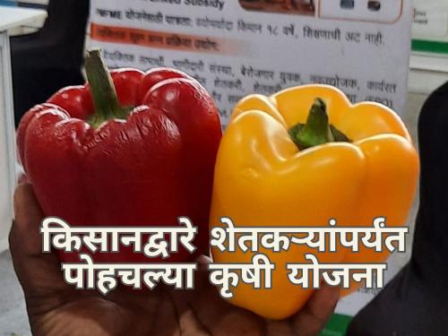 Agricultural schemes reached farmers through Kisan Exhibition in Pune | किसान एक्स्पोला शेतकऱ्यांचा चांगला प्रतिसाद, कृषी विभागाच्या योजनांचा लाभ 