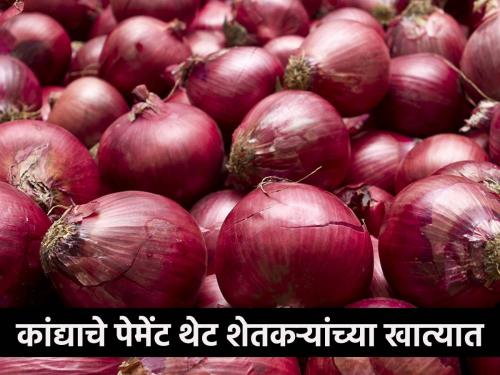 onion: will buy five lakh tonnes of onion; But kept silent about the rate | onion: पाच लाख टन कांदा घेणार; पण दराबाबत बाळगले मौन