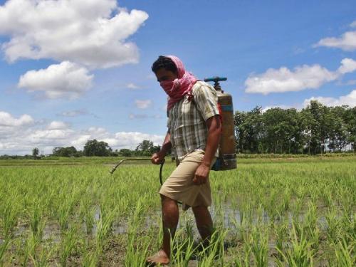 The amount of chemical fertilizer increased! Sales momentum in anticipation of production increases | रासायनिक खताची मात्रा वाढली! उत्पादन वाढीच्या अपेक्षेने विक्री जोमात