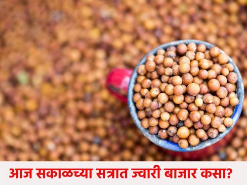 How is the sorghum market in the morning session? What are the farmers getting? | सकाळच्या सत्रात कसा आहे ज्वारी बाजार? काय मिळतोय शेतकऱ्यांना भाव?