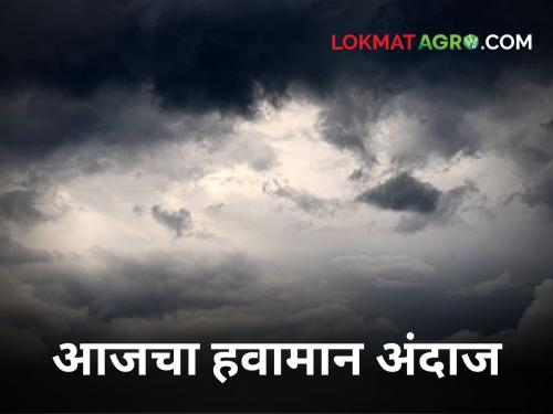 'Morning dew persists, maximum temperature also on the rise' | Weather Updates : 'पहाटेचा गारवा टिकून तर कमाल तापमानही चढतीकडे' 