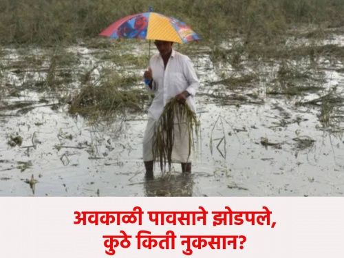 7.5 thousand hectares of agriculture in the state were damaged due to bad weather, how much in which district? | राज्यात 7.5 हजार हेक्टर शेतीचे अवकाळीने नुकसान, कुठल्या जिल्ह्यात किती?