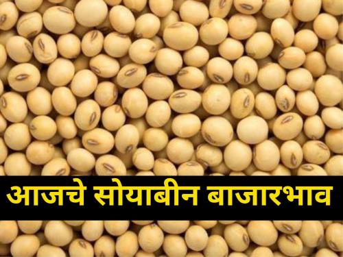 maharashtra agriculture farmer soybean market yard new year first day market rate | नव्या वर्षाच्या पहिल्या दिवशी सोयाबीनला किती मिळाला दर?