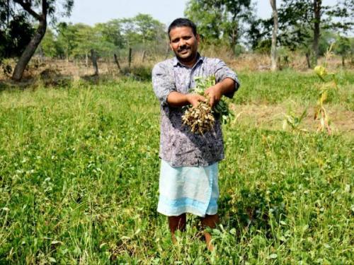 How to take care of crops in rainy, cloudy weather? | पाऊस, ढगाळ वातावरणात पिकांचे कसे कराल व्यवस्थापन?